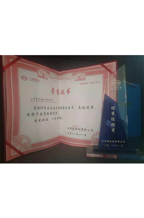 溧阳市比亚迪2018优秀经销商